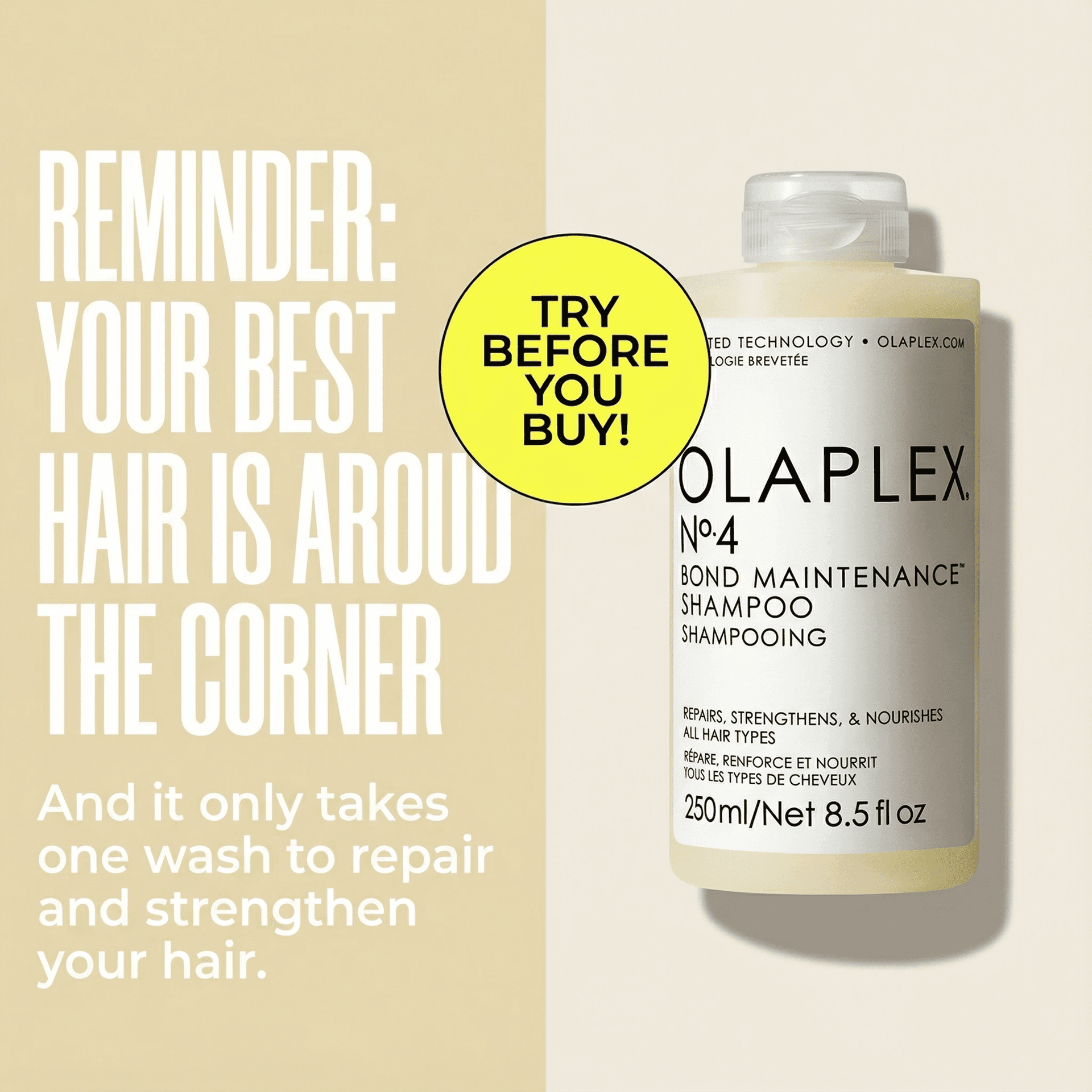 OLAPLEX Shampoo ad created with AdDogs
