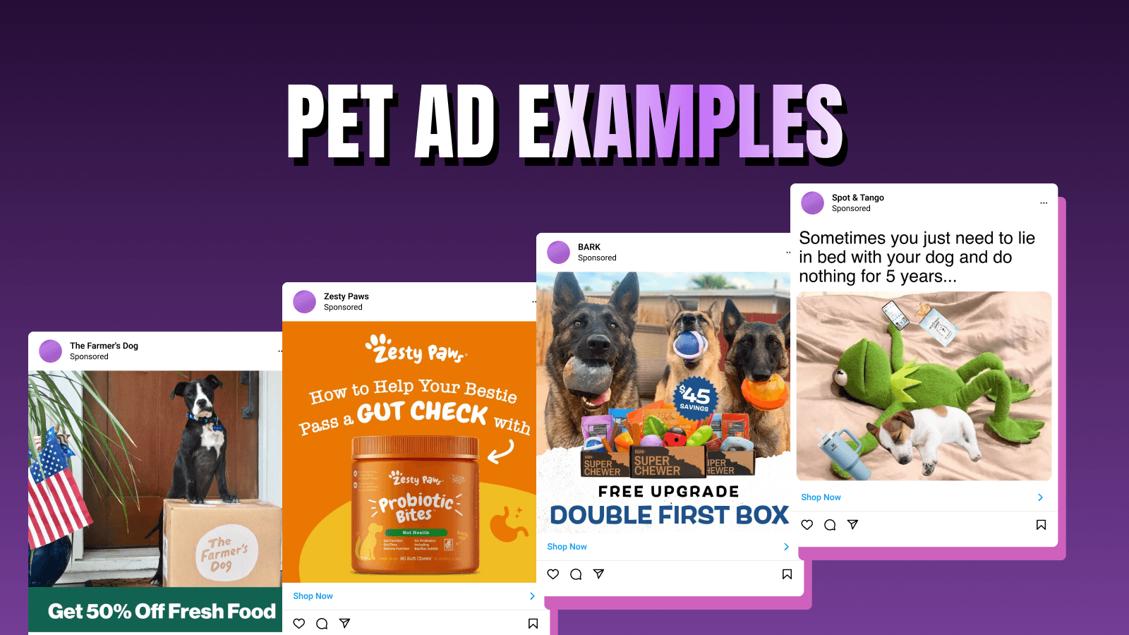 Pet ads: 28 real examples from dog and cat brands