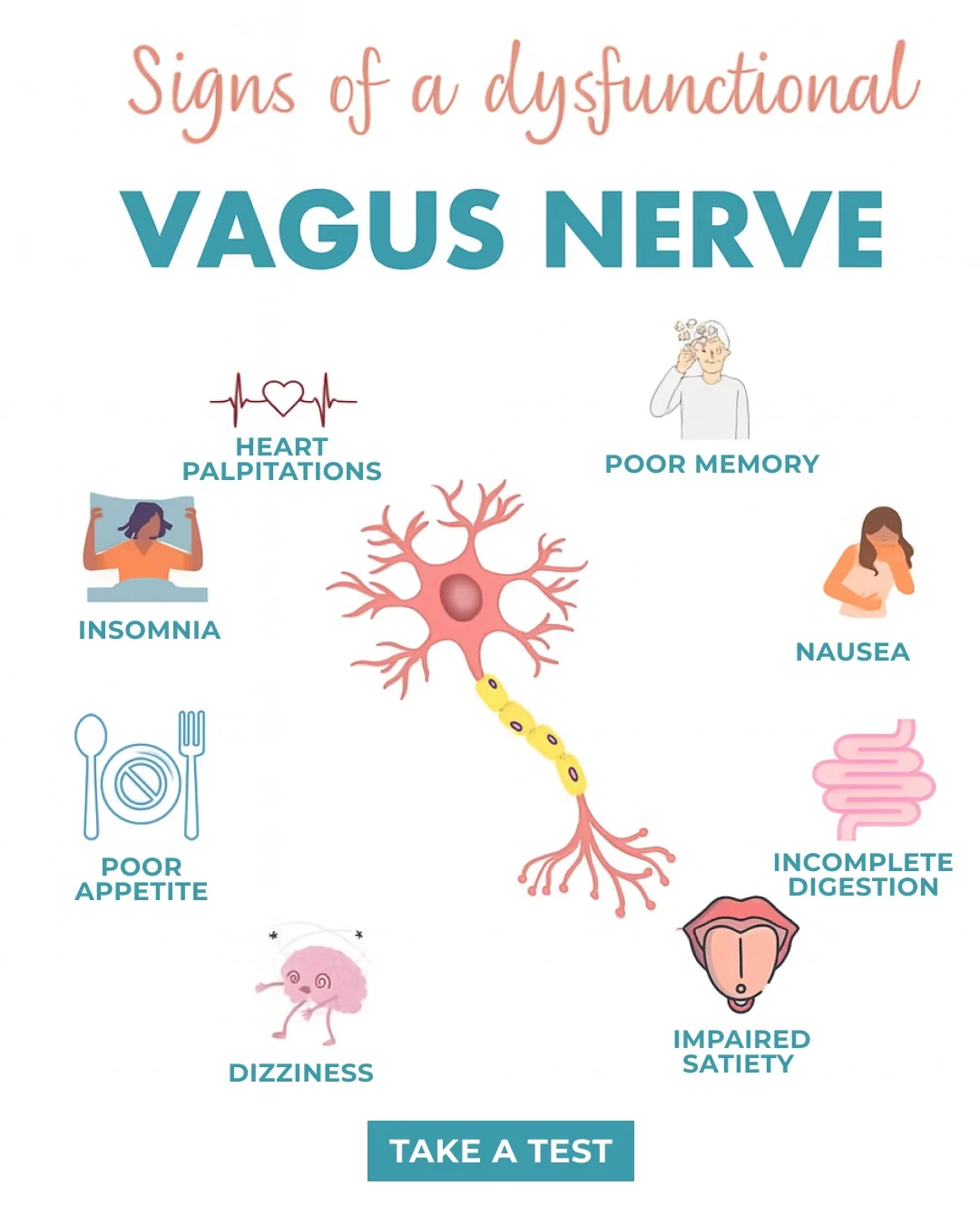 Vagus Nerve Dysfunction — Informative Grid Layout