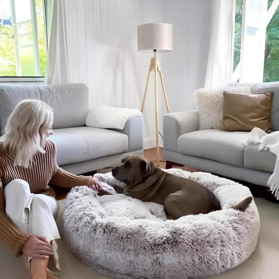 Luxury Pet Bed — Cozy Lifestyle Scene