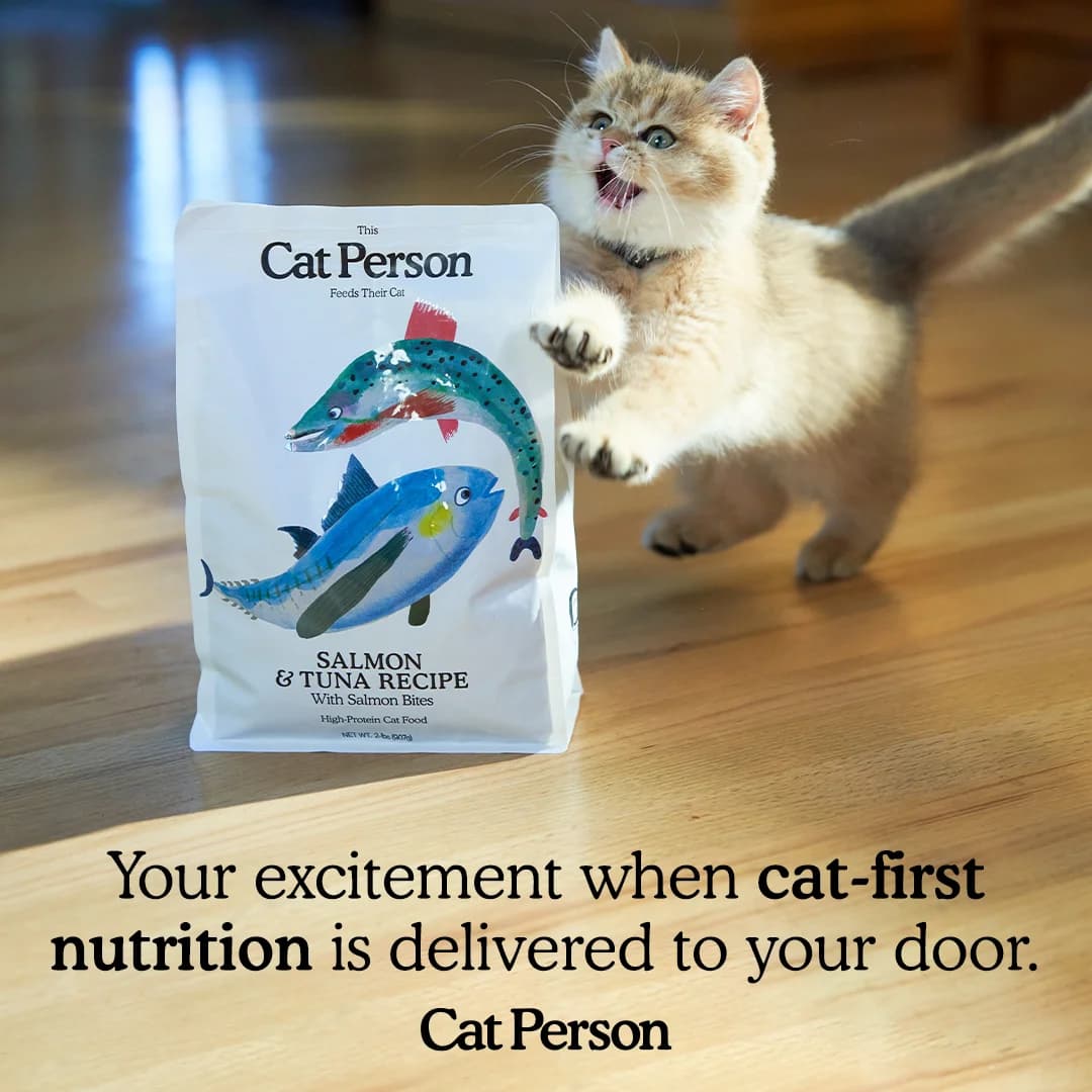 Cat Person — Playful Kitten Product Shot