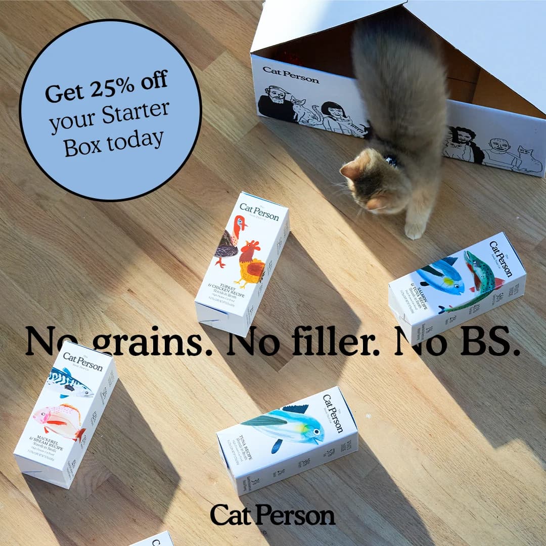 Cat Person — Playful Product & Pet Lifestyle