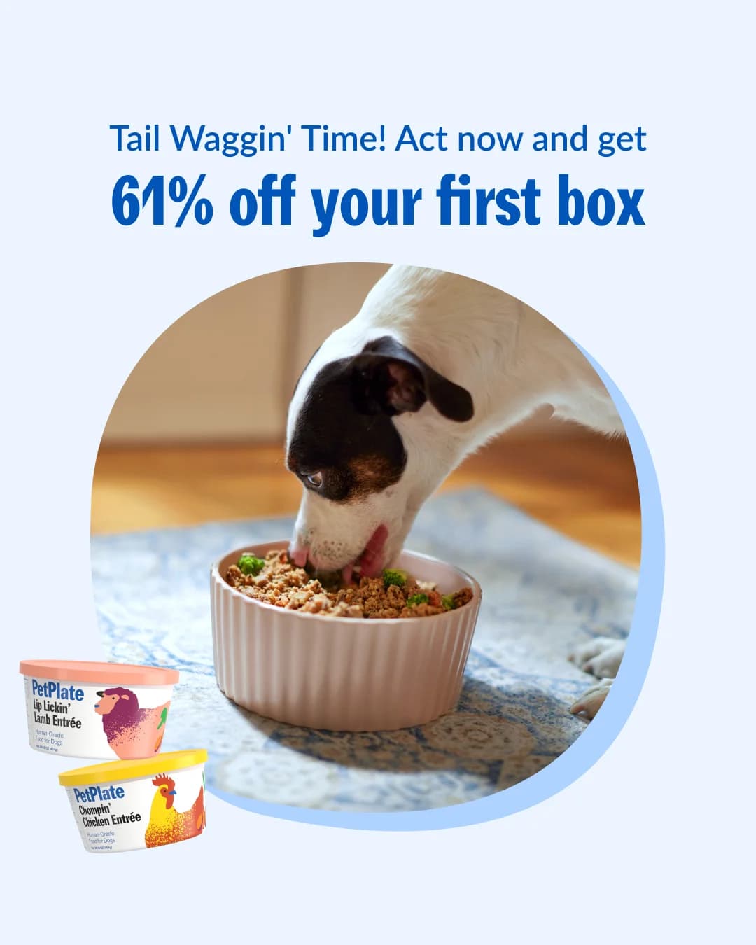 PetPlate — Dog Eating Lifestyle with Offer