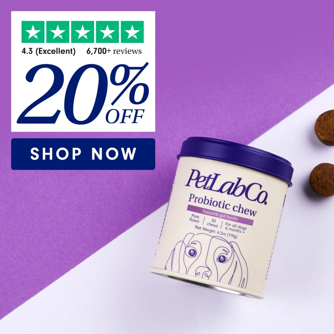 PetLabCo. Probiotic Chew — Dynamic Discount Layout