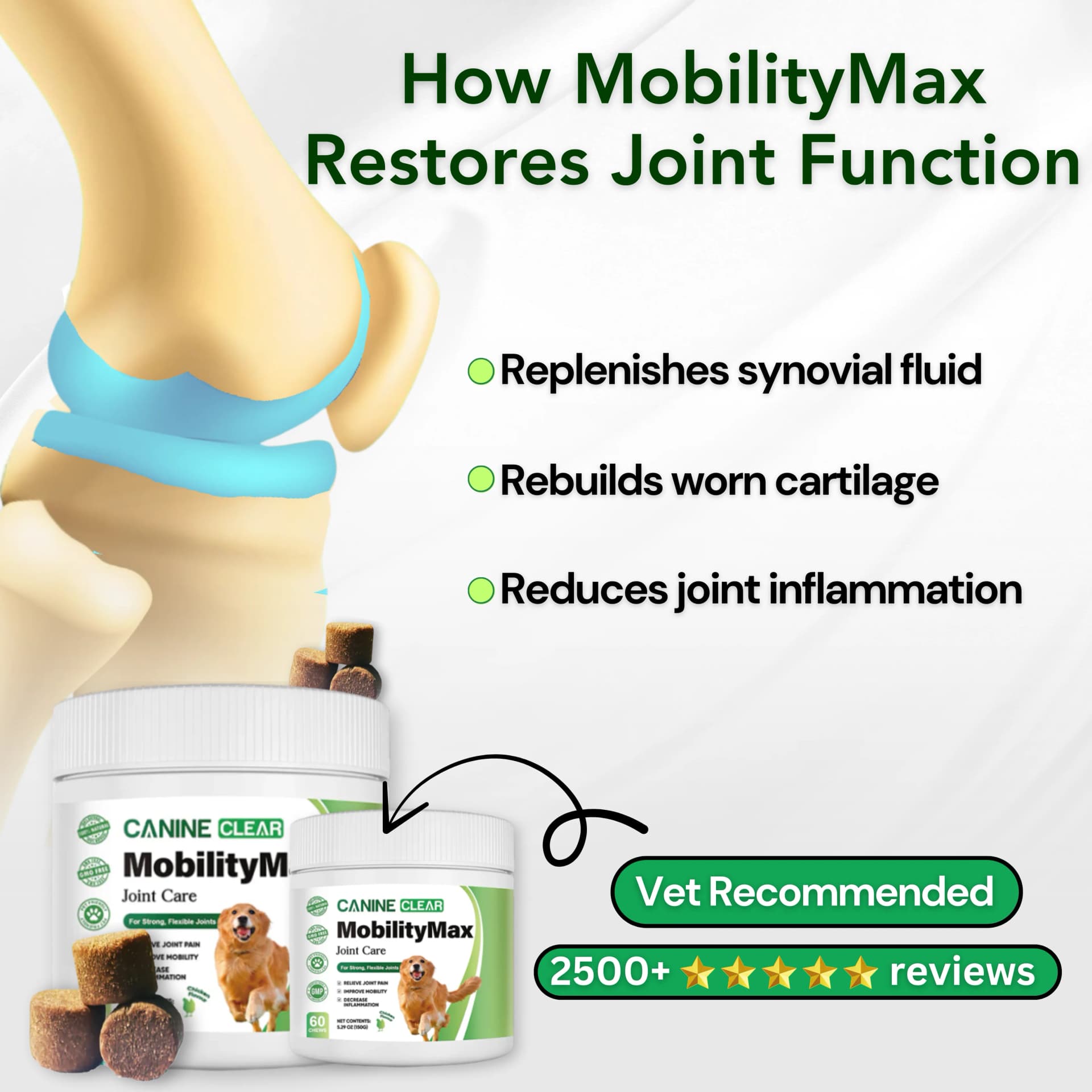 Canine Clear MobilityMax — Educational Product Layout