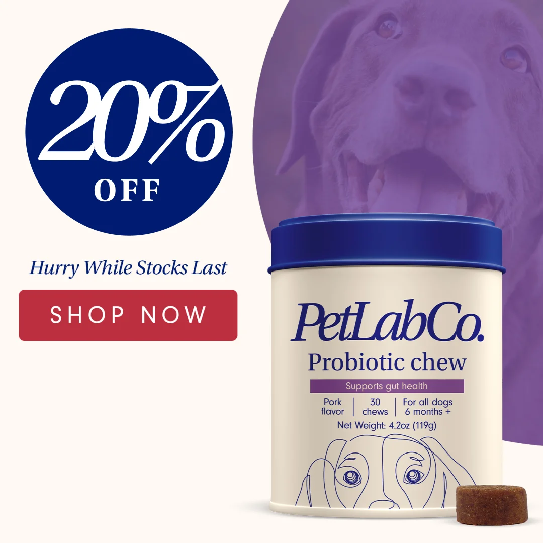 PetLabCo. Probiotic Chew — Discount Hero Shot