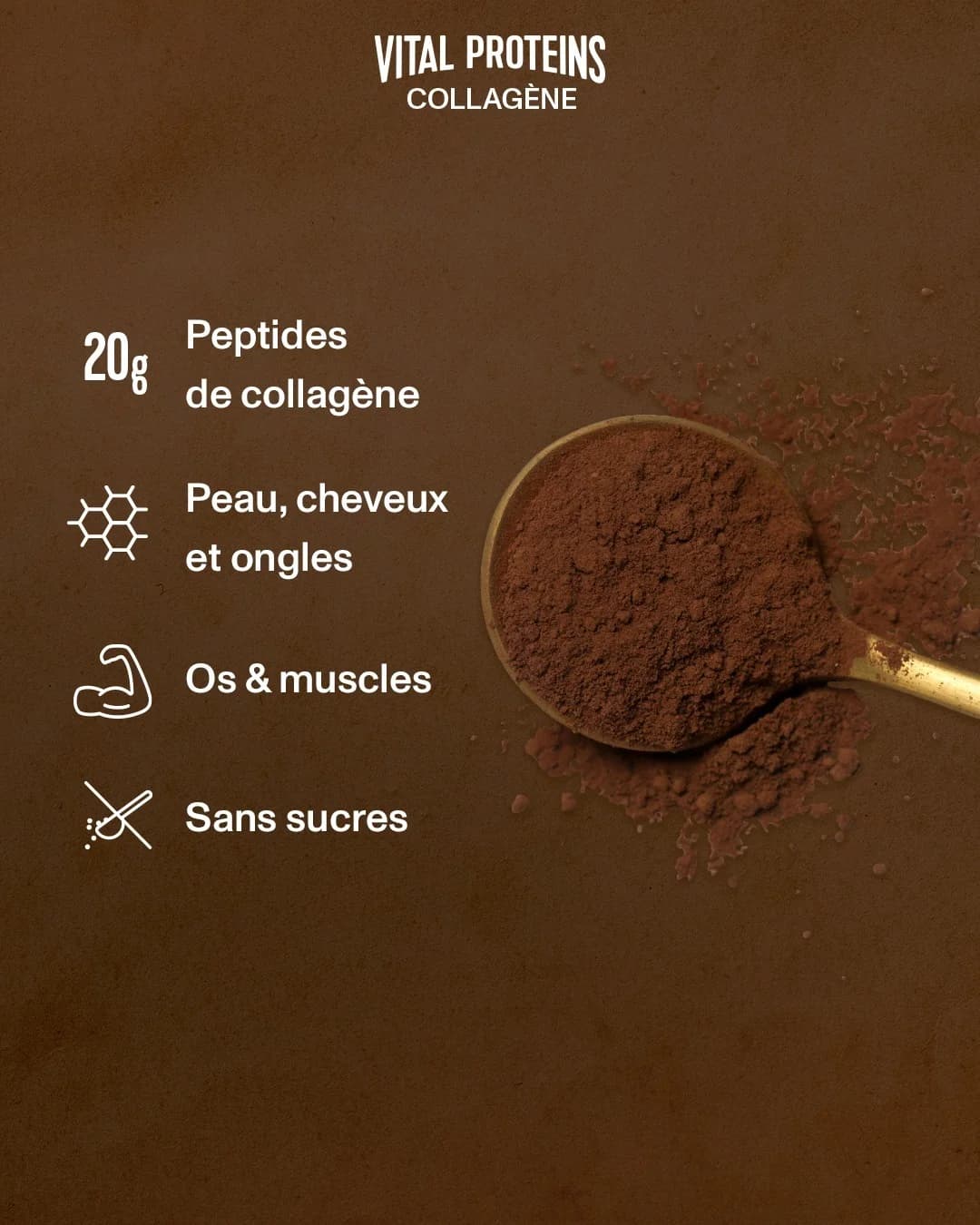 Vital Proteins Collagen — Feature Spotlight Flat Lay