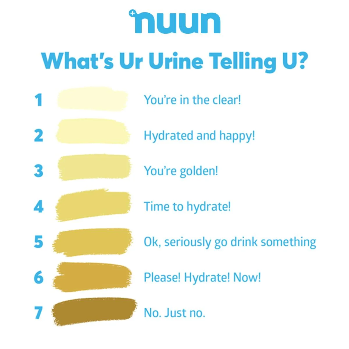 Nuun Hydration Chart — Educational Infographic