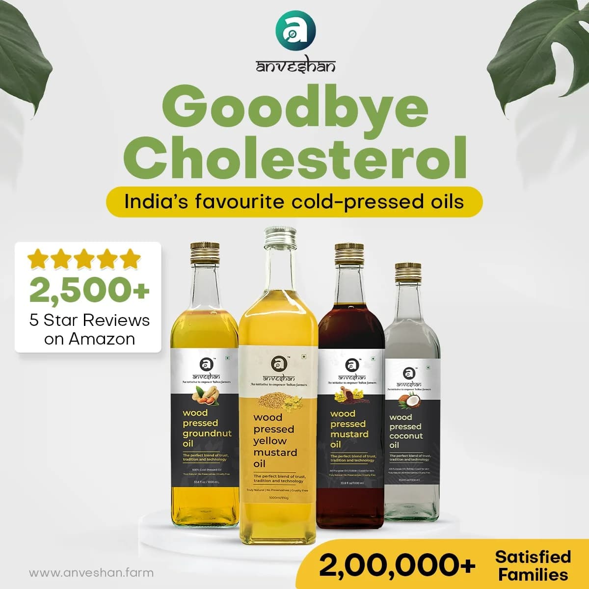 Anveshan Oils — Health-Focused Product Display