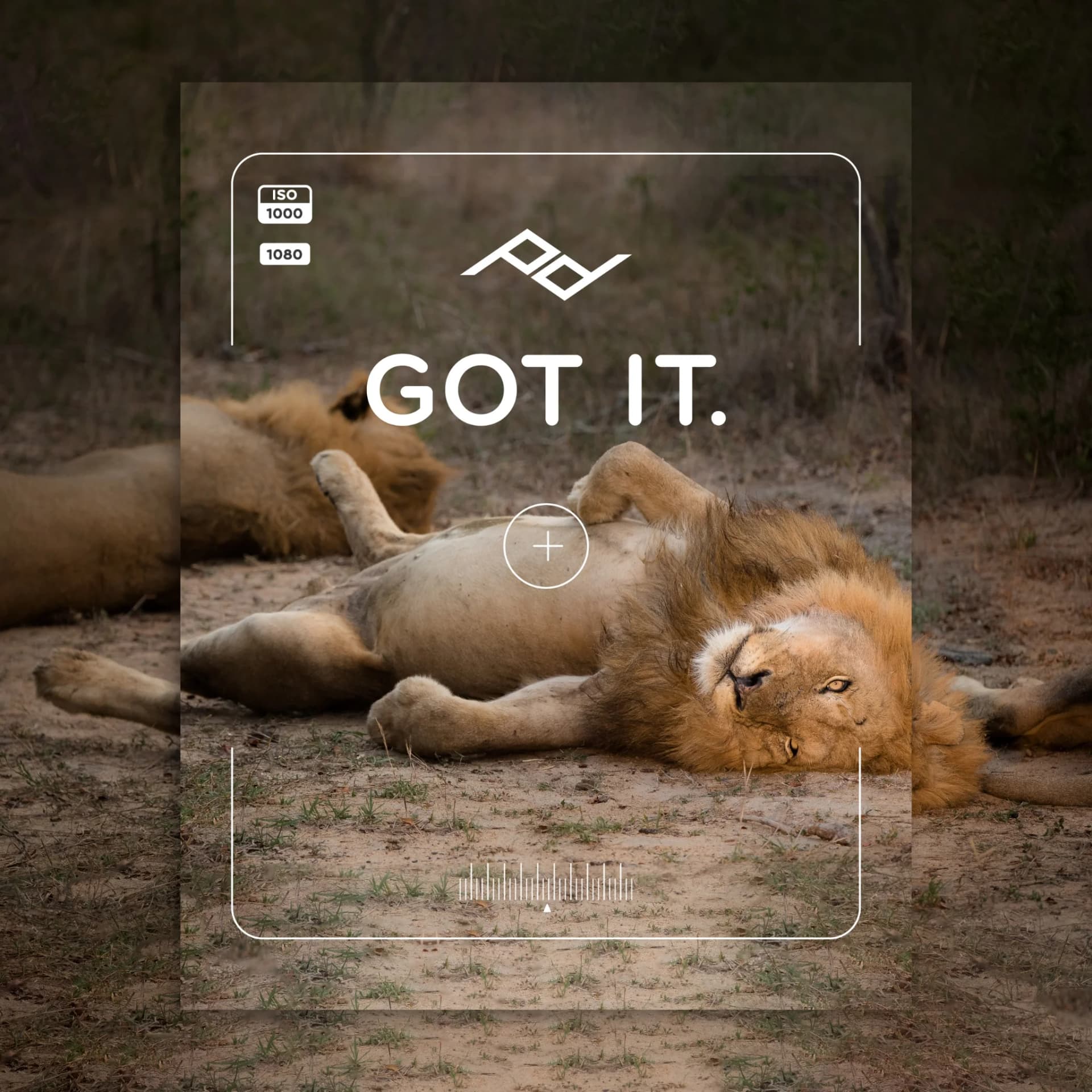 Peak Design — Camera UI Lifestyle Shot