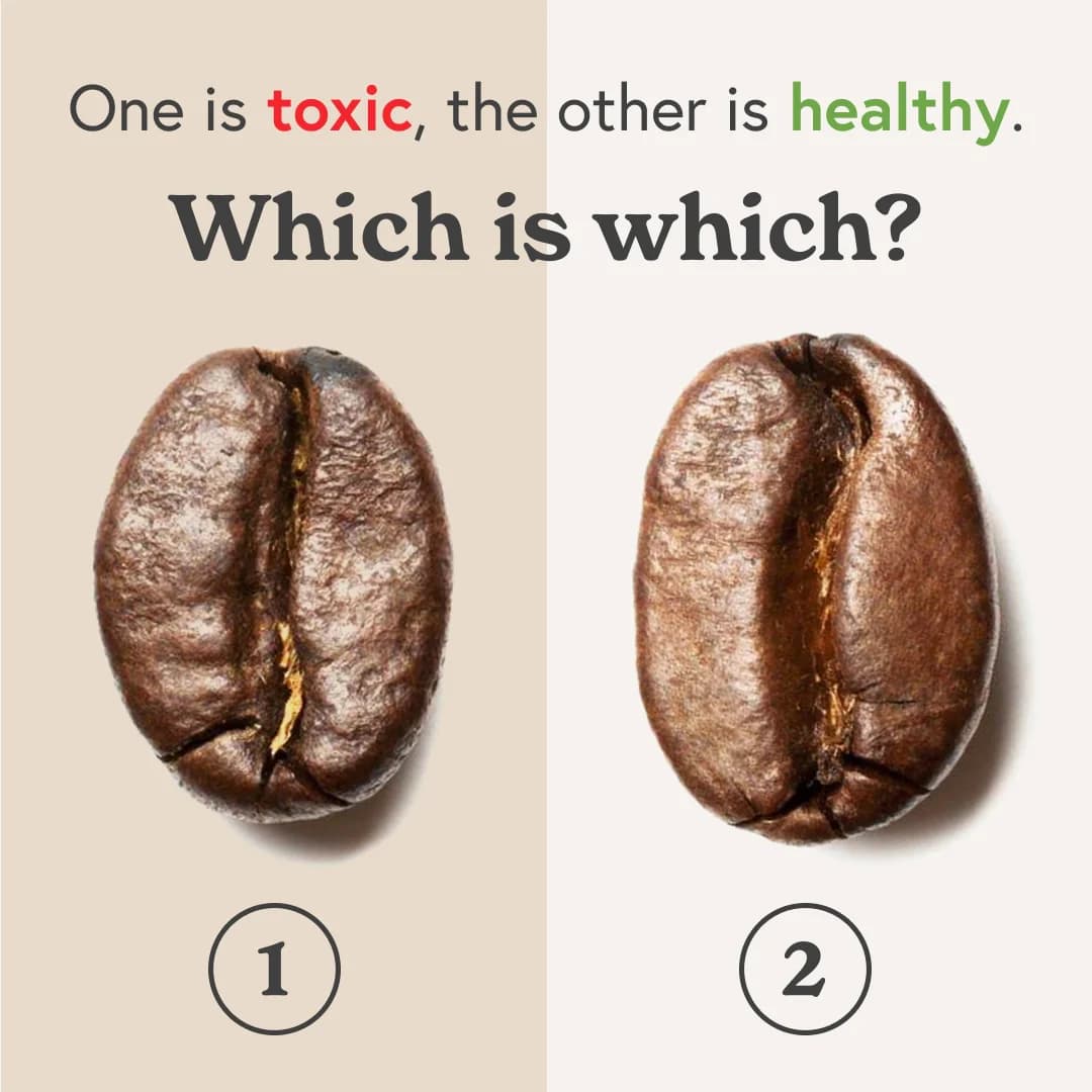 Coffee Bean Comparison — Split Screen Quiz