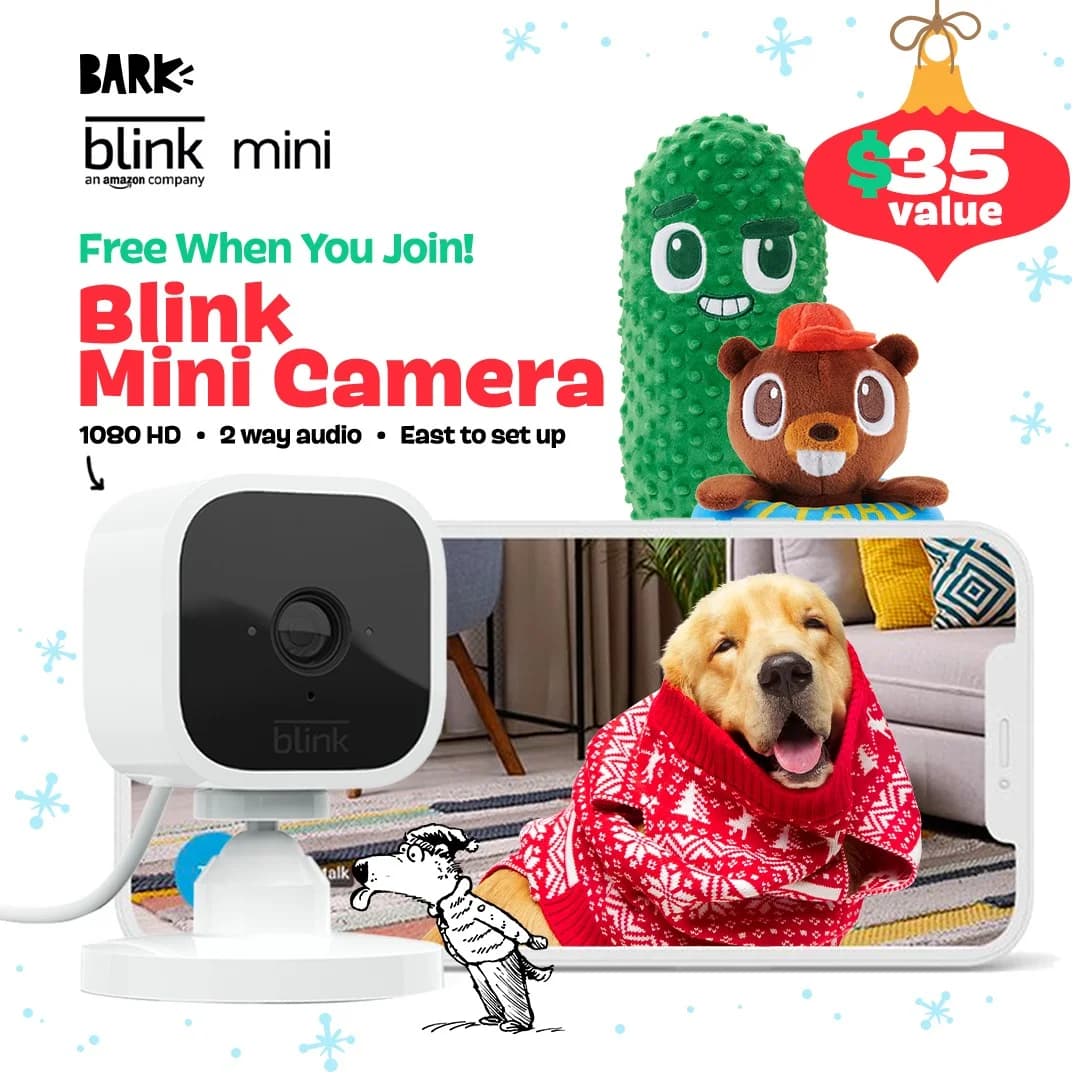 Bark Blink Mini — Festive Product & Lifestyle