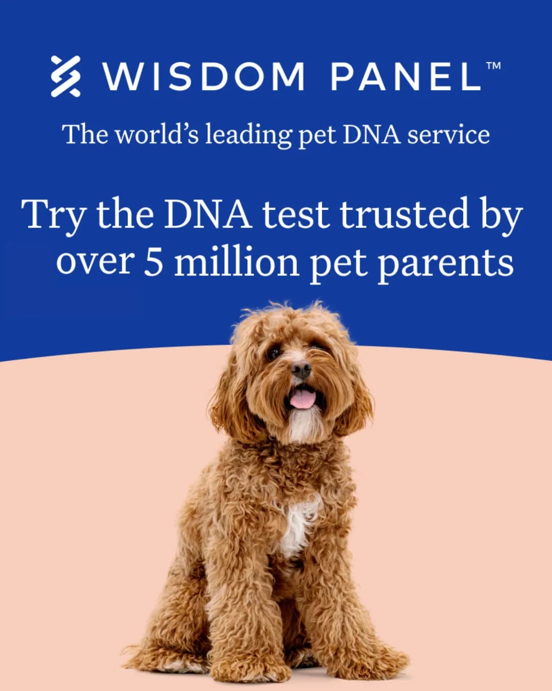 Wisdom Panel — Pet DNA Test with Dog Hero