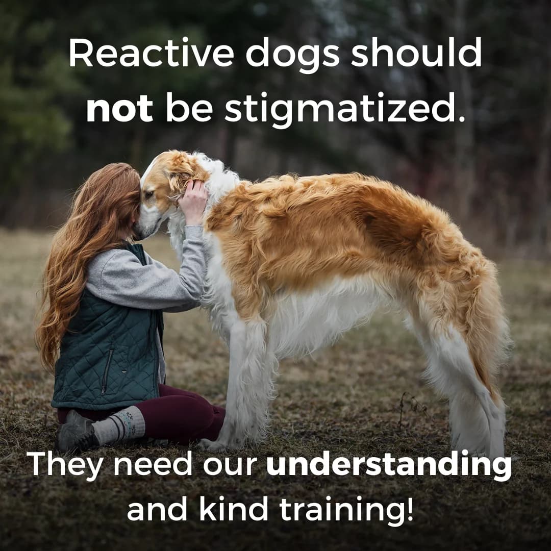 Advocacy for Reactive Dogs — Lifestyle Text Overlay