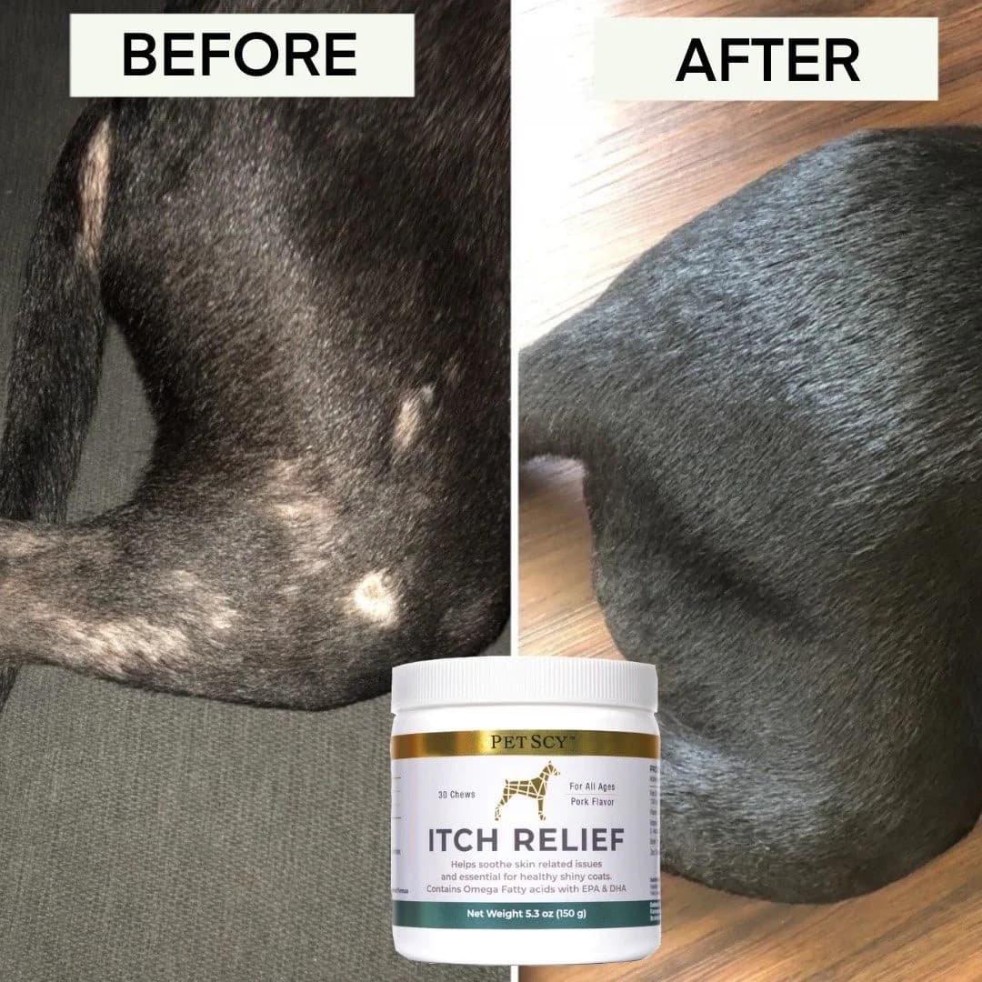 PET SCY Itch Relief — Before/After Product Shot