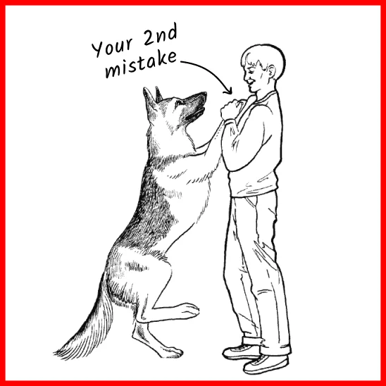 Dog Training — Illustrative Mistake Highlight