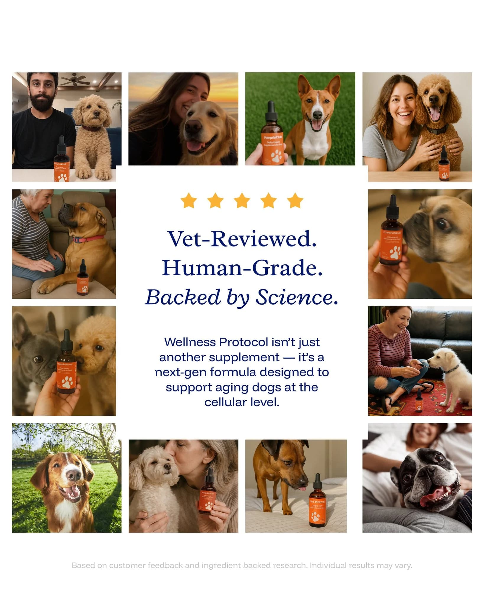 Pawprint Lab — Pet & Owner Lifestyle Grid