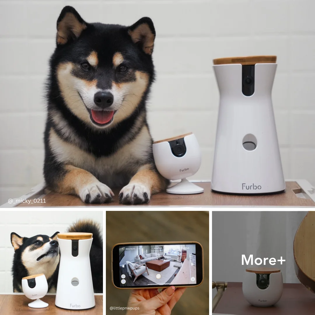Furbo Pet Camera — Engaging Lifestyle Collage