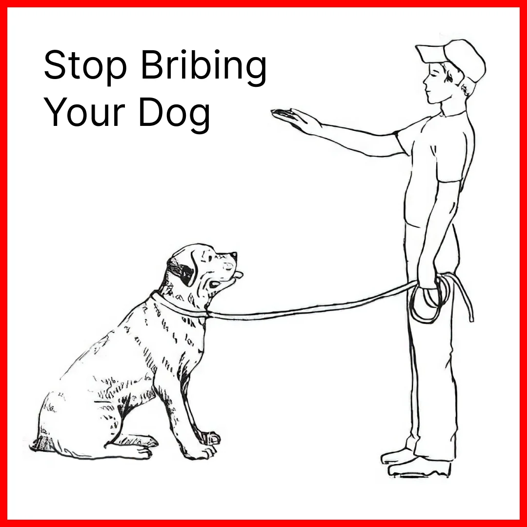 Dog Training — Illustrative Problem/Solution