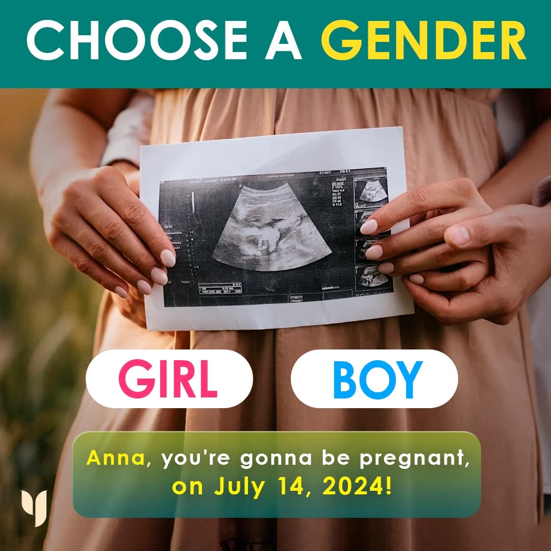 Pregnancy Prediction — Interactive Ultrasound Image