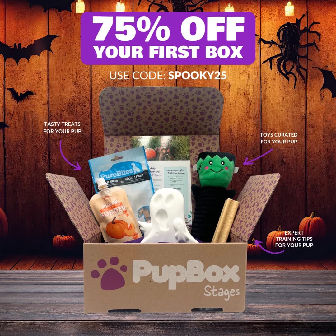 PupBox Halloween Offer — Themed Box Flat Lay