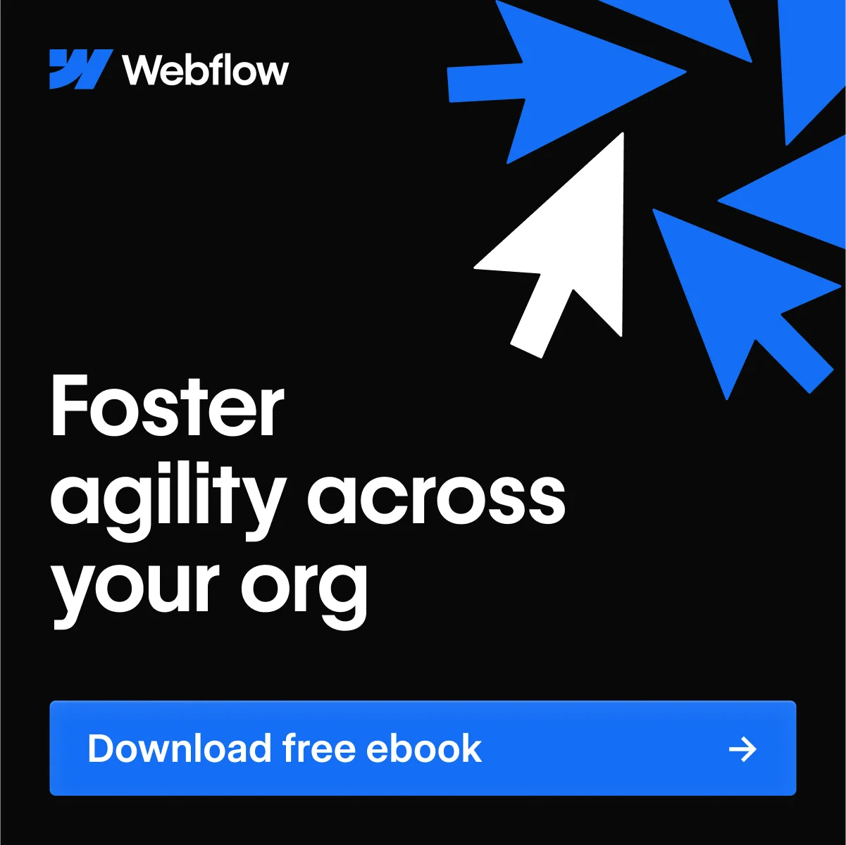 Webflow — Agility Ebook Lead Gen