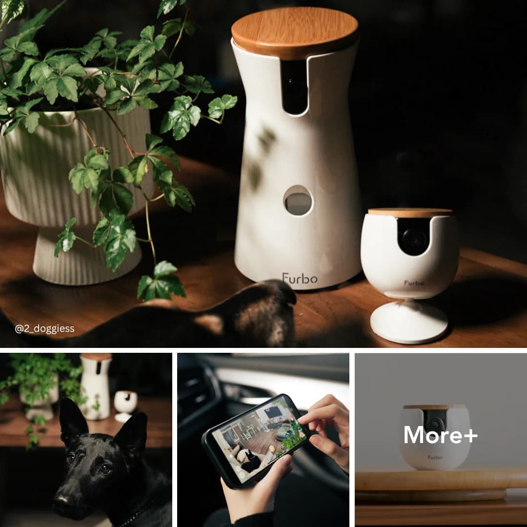 Furbo Pet Cameras — Lifestyle Grid Collage
