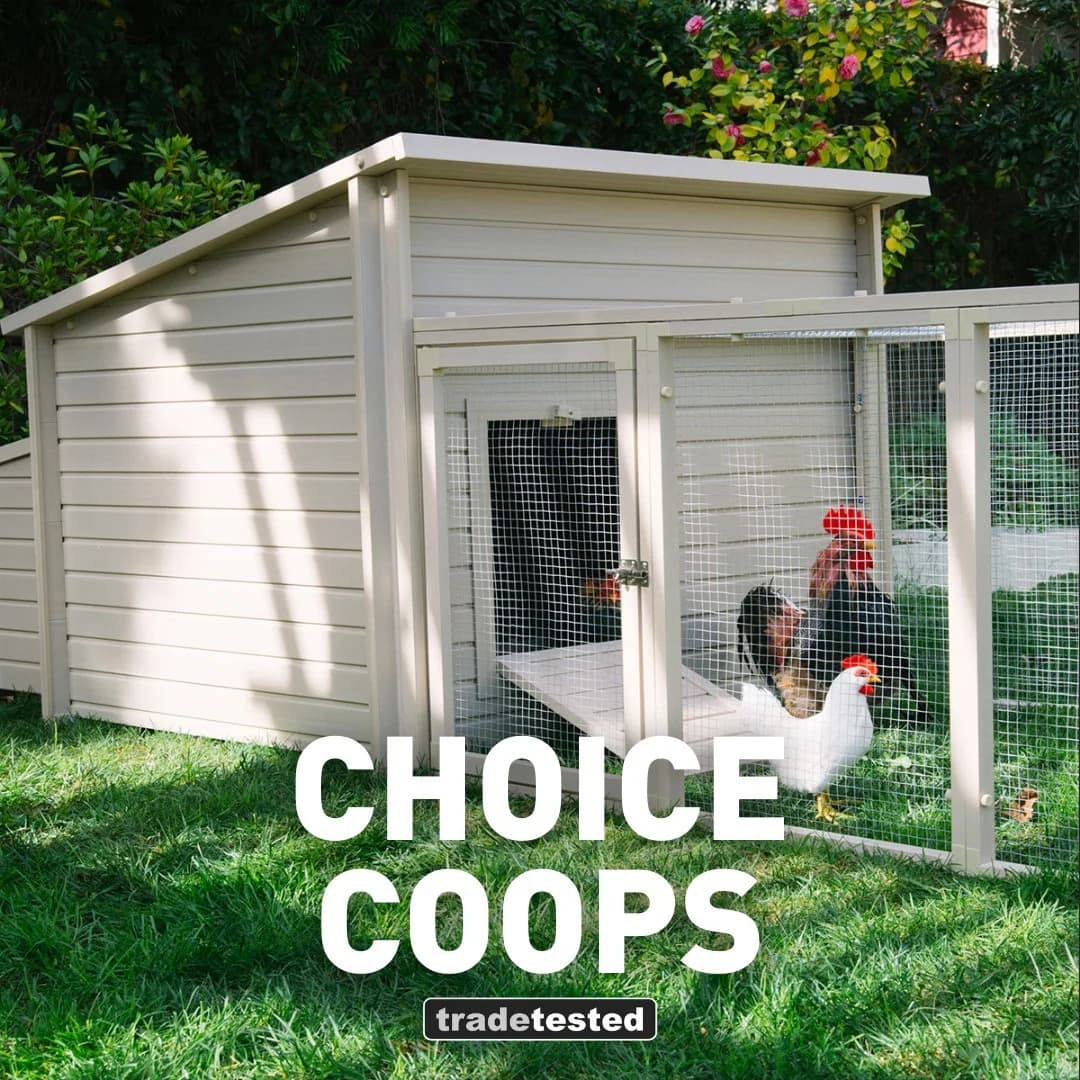 Choice Coops — In-Use Lifestyle Shot