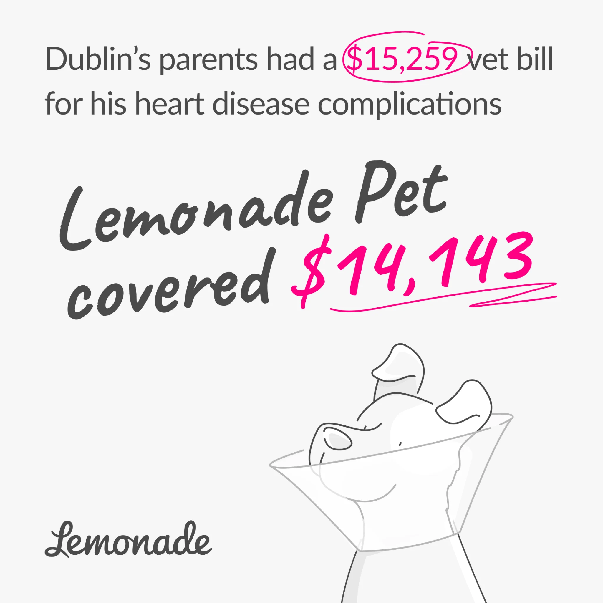 Lemonade Pet — Financial Impact Story