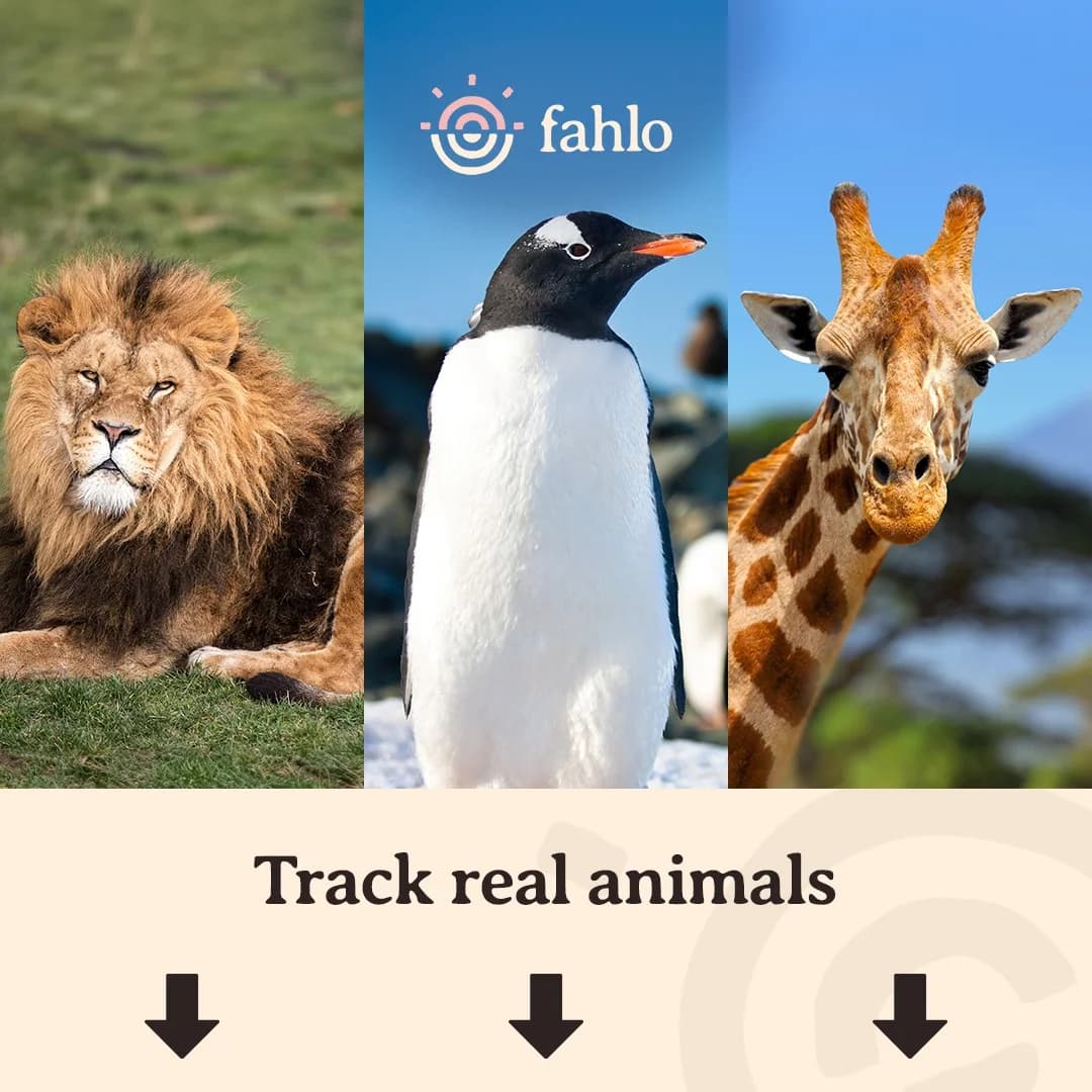 Fahlo — Diverse Animal Grid Layout