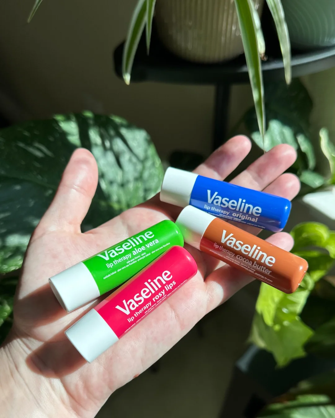 Vaseline Lip Therapy — Handheld Product Display