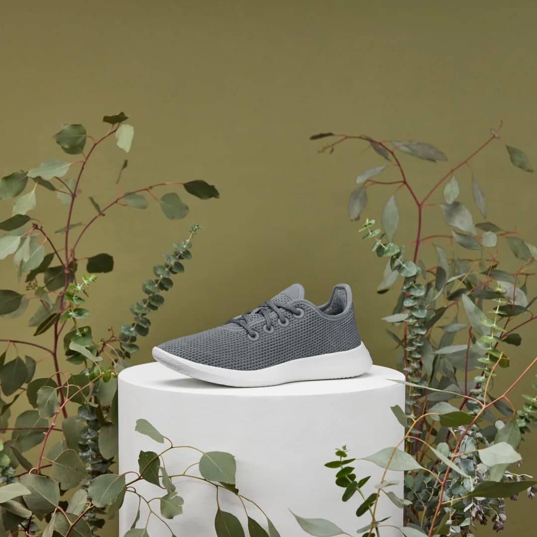 Allbirds Wool Runner — Organic Product Display