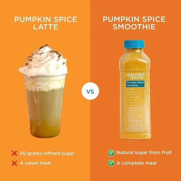 Splendid Spoon Pumpkin Spice — Comparison Layout