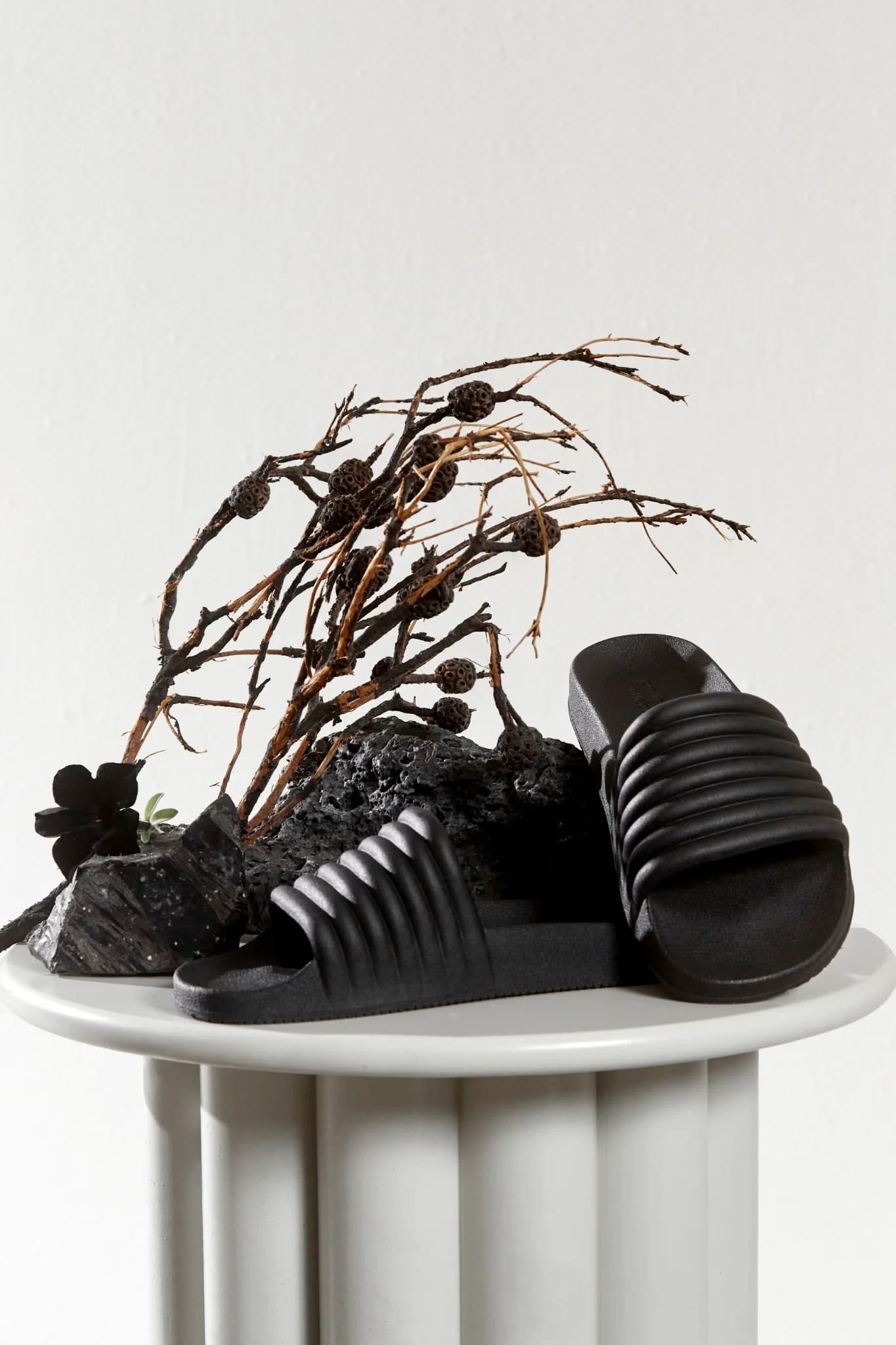 Black Slides — Organic Still Life Display