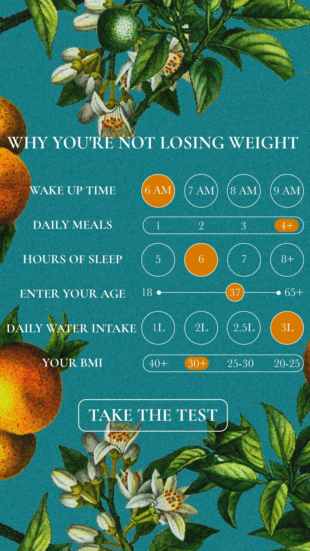 Weight Loss Quiz — Interactive UI Mockup