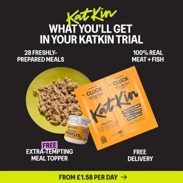 Katkin ad example