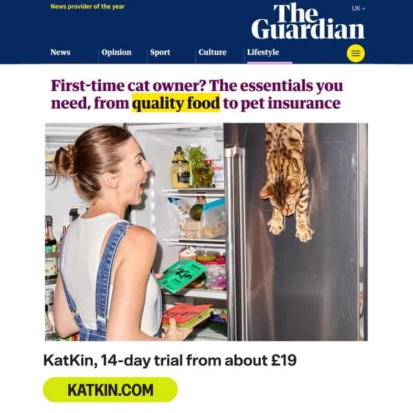Katkin Fresh Cat Food — Playful Lifestyle Scene