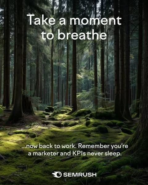 Semrush Forest Scene — Humorous Text Overlay