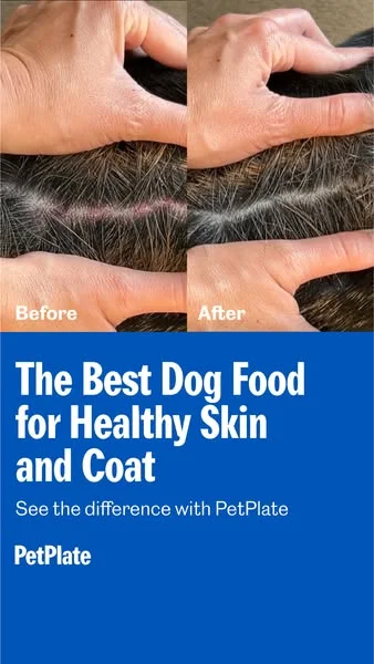 PetPlate dog food before-and-after static ad showing skin improvement on a blue background