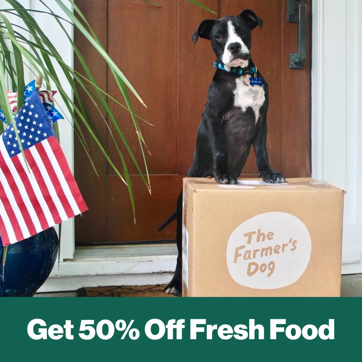 Pet ad example: The Farmer's Dog puppy sitting on a delivery box at a front door, with a Get 50% Off Fresh Food banner