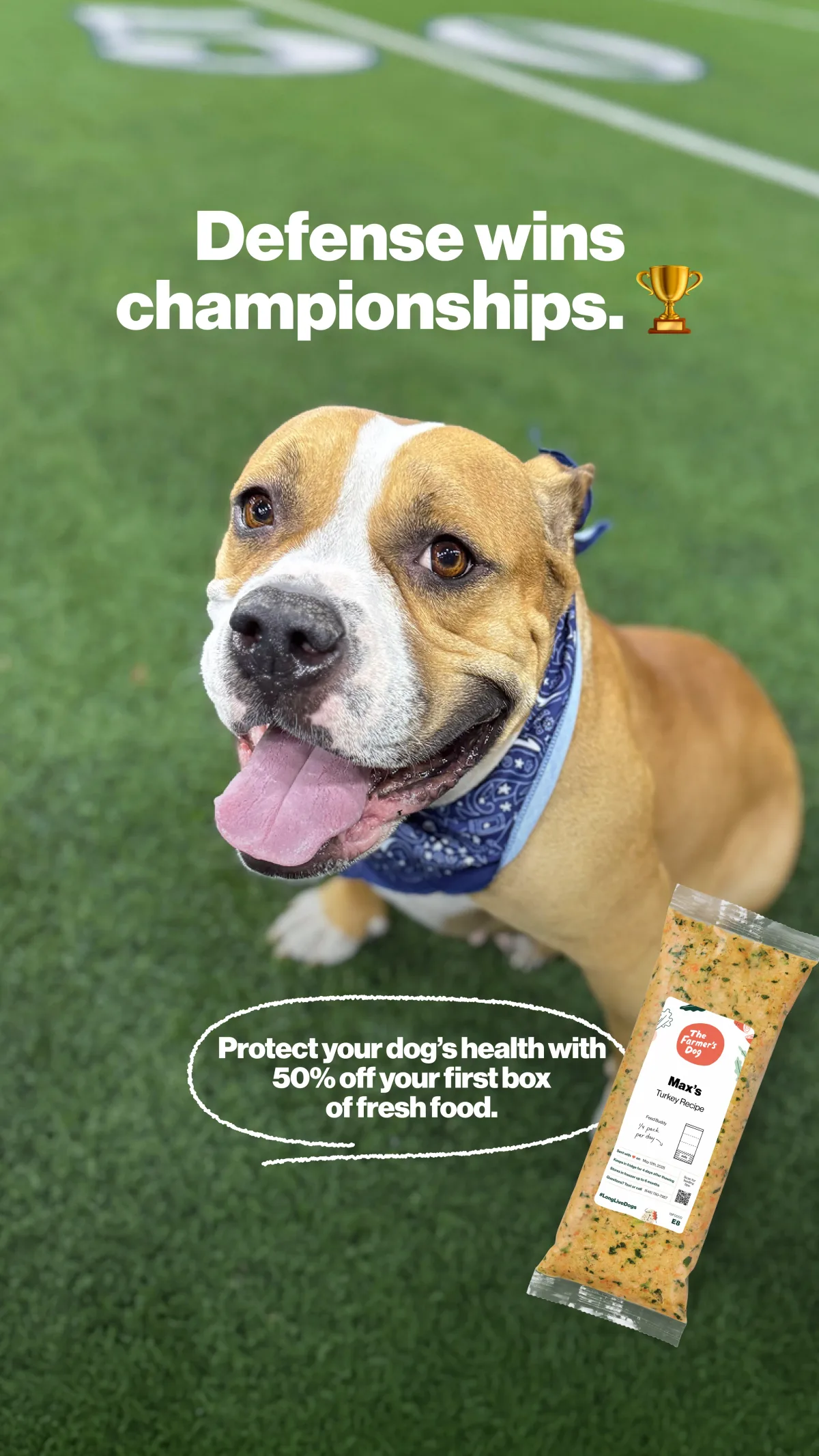 Dog food ad example: The Farmer's Dog pit mix on football turf under Defense wins championships with a 50% off first box note