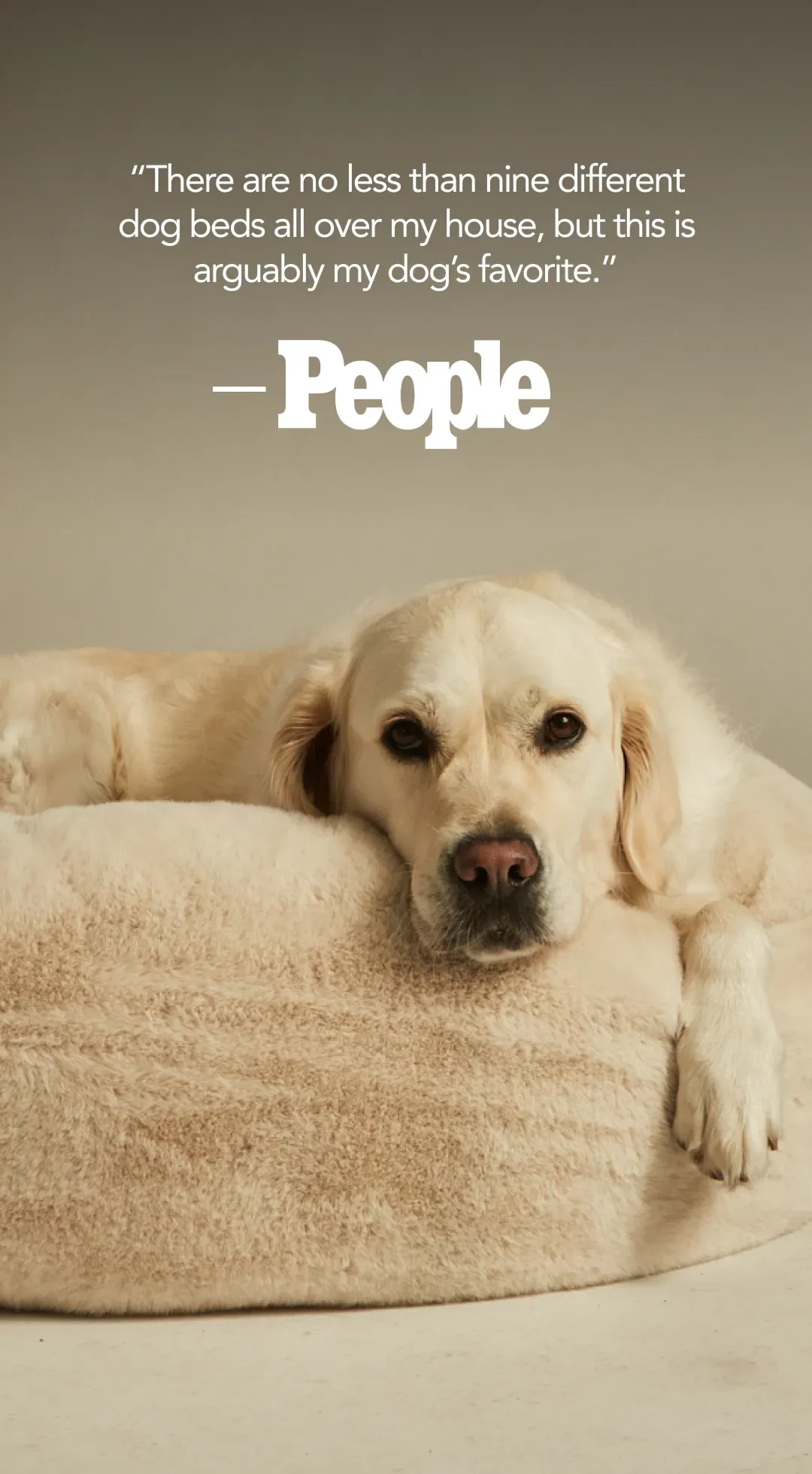Pet product ad example: unhide dog bed with a golden retriever resting on it under a People magazine quote