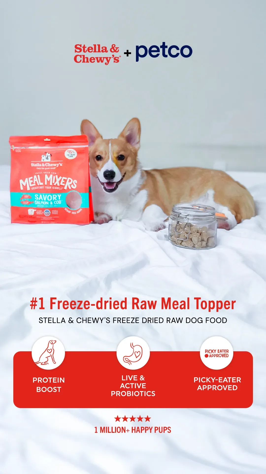 Dog food ad example: Stella and Chewy's corgi on a white bed beside Meal Mixers freeze-dried topper with three benefit icons