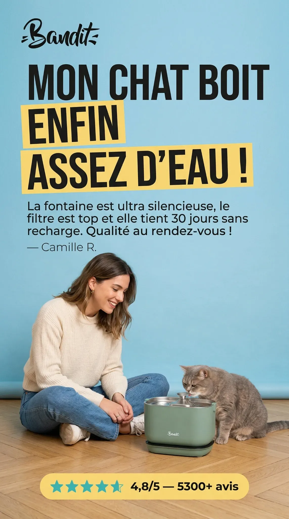 Cat product ad example: French Bandit water fountain with a woman and her cat on the floor under a French customer review