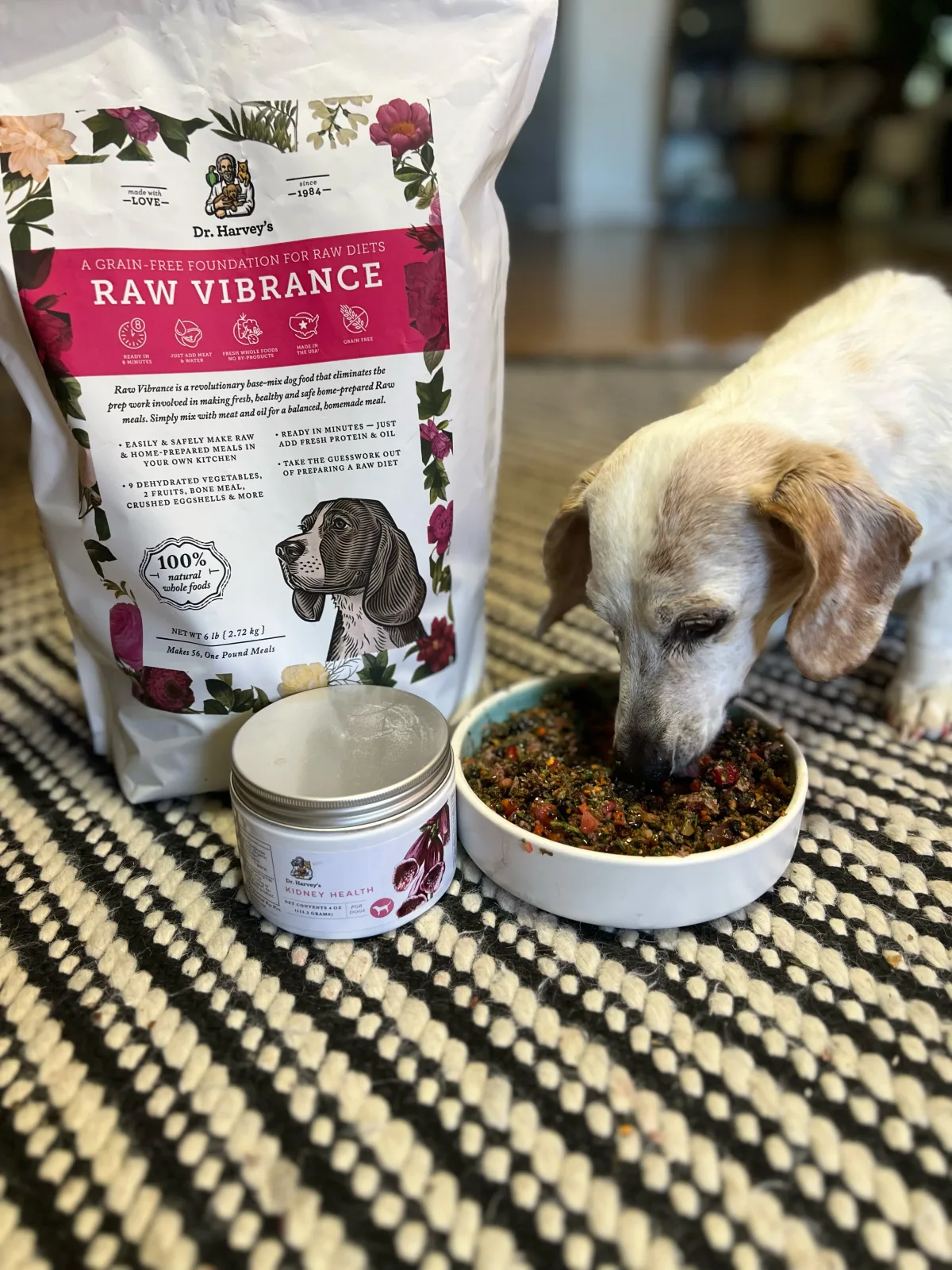 Dog food ad example: Dr. Harvey's Raw Vibrance bag and jar beside an older white dog eating from a bowl on a striped rug
