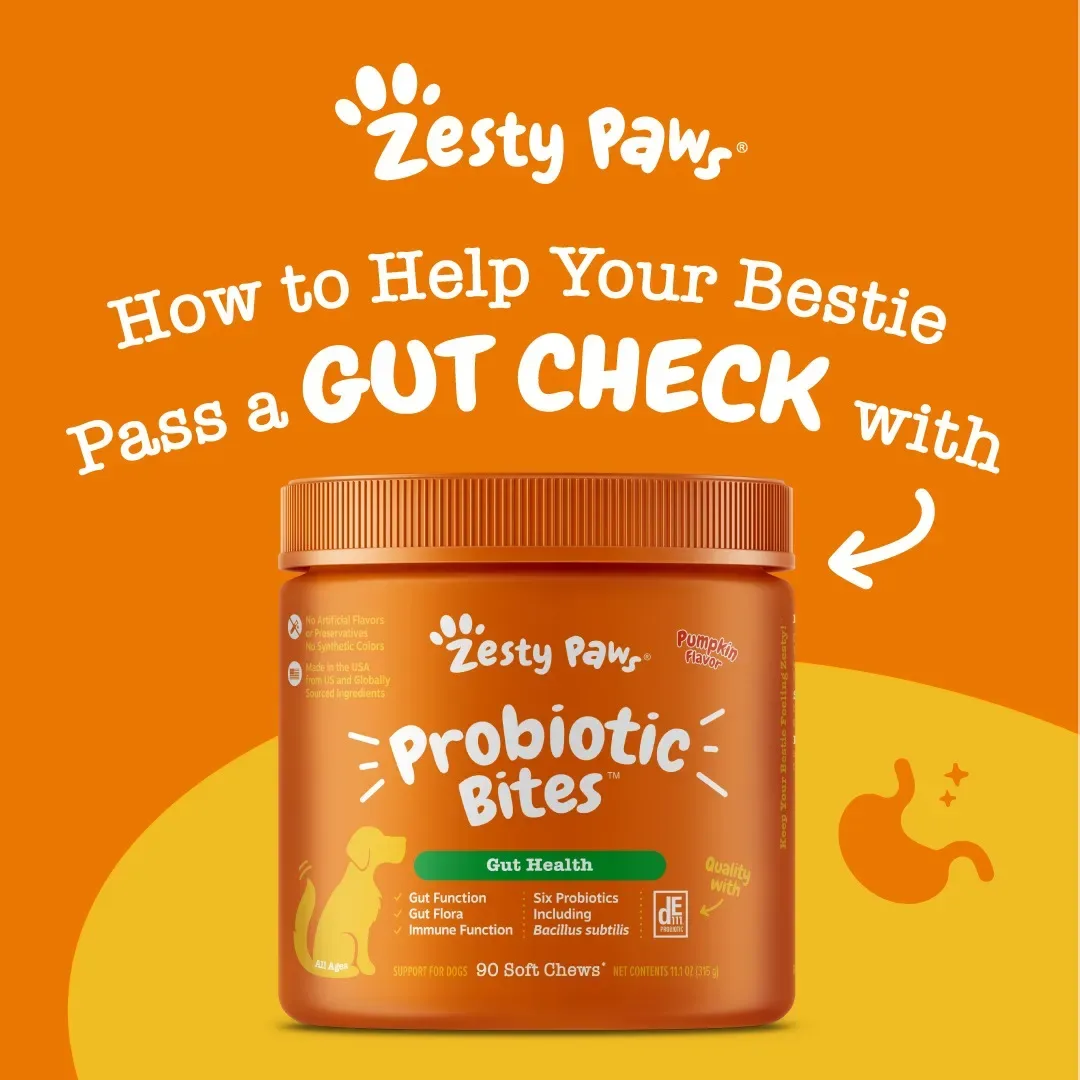 Pet supplement ad example: Zesty Paws Probiotic Bites jar on orange under How to Help Your Bestie Pass a Gut Check