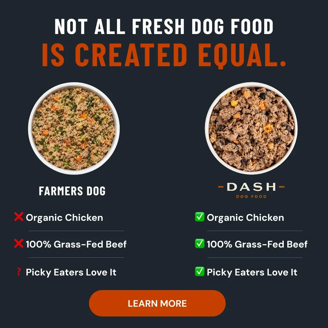 Dog food ad example: DASH Dog Food comparison with The Farmer's Dog showing checkmarks for organic chicken and grass-fed beef