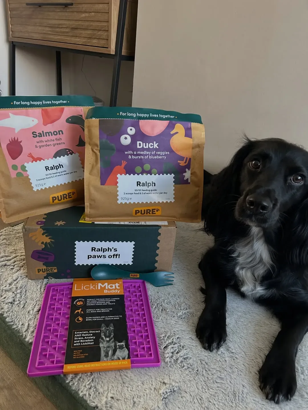 Dog food ad example: Pure Pet Food bags labeled for a dog named Ralph, a delivery box, and a lick mat, beside a black spaniel