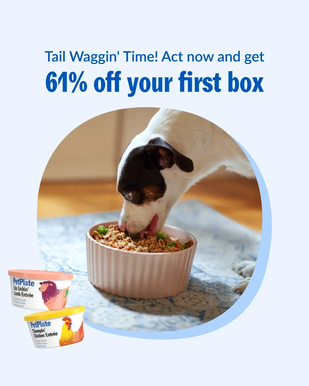 Dog food ad example: PetPlate dog eating from a bowl in a circle crop under Act now and get 61% off your first box