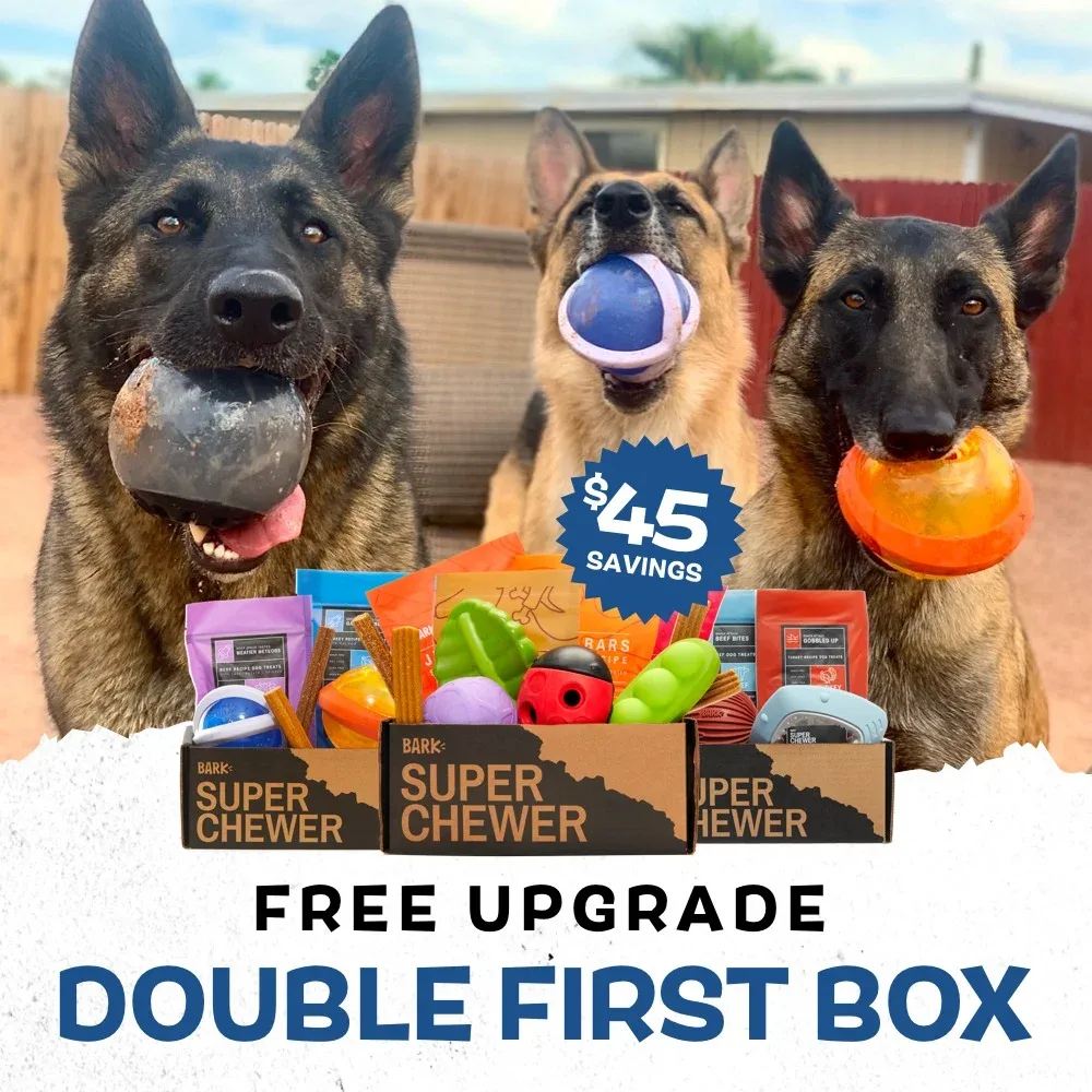 Pet product ad example: three shepherd dogs holding BARK toys behind a BARK Super Chewer box with a free upgrade double first box offer